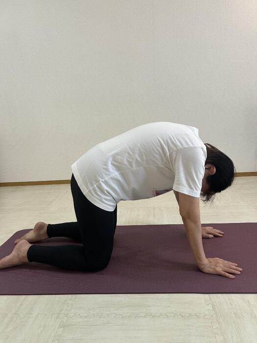 会員 HIROMIさん ネコのポーズ